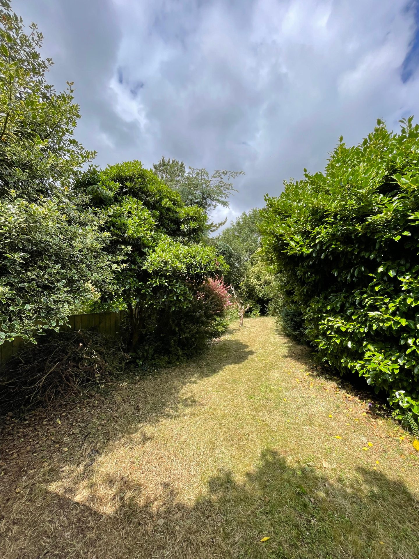 Private garden lawn surrounded by trees